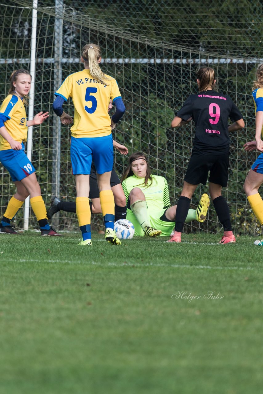 Bild 111 - wBJ MSG Steinhorst-Krummesse - VfL Pinneberg : Ergebnis: 2:0